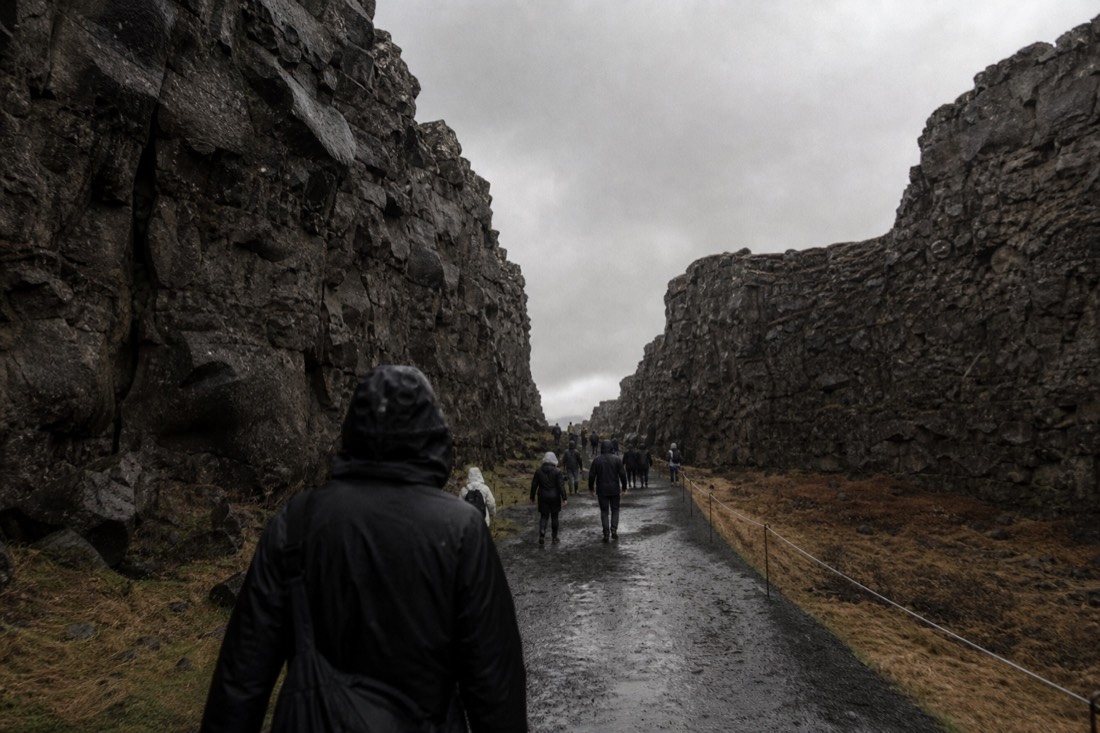 Basalt walls of the Almannagjá fissure at Þingvellir rising over the gravel walking path in light drizzle